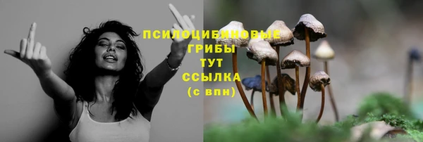 спиды Ладушкин