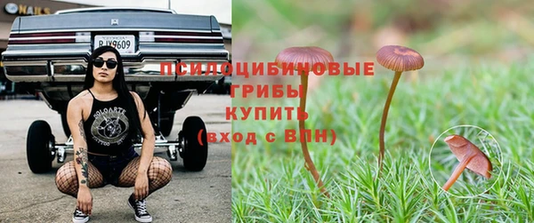 стаф Лагань