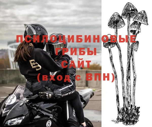 стаф Лагань