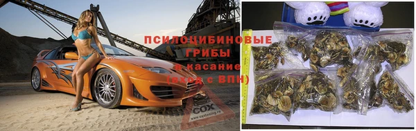 спиды Ладушкин