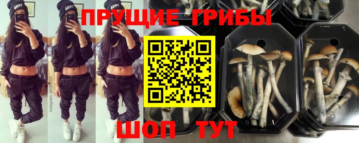 Галлюциногенные грибы прущие грибы Полевской