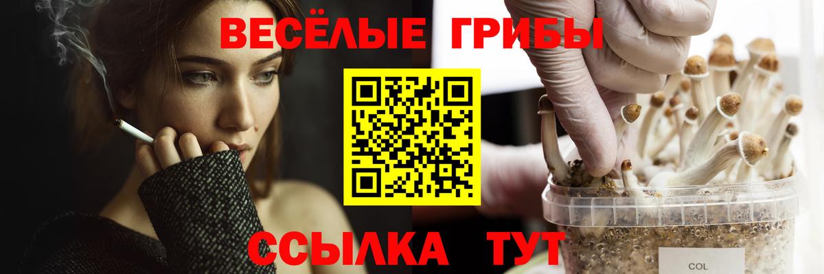 Полевской  Галлюциногенные грибы GOLDEN TEACHER  Вход с VPN 